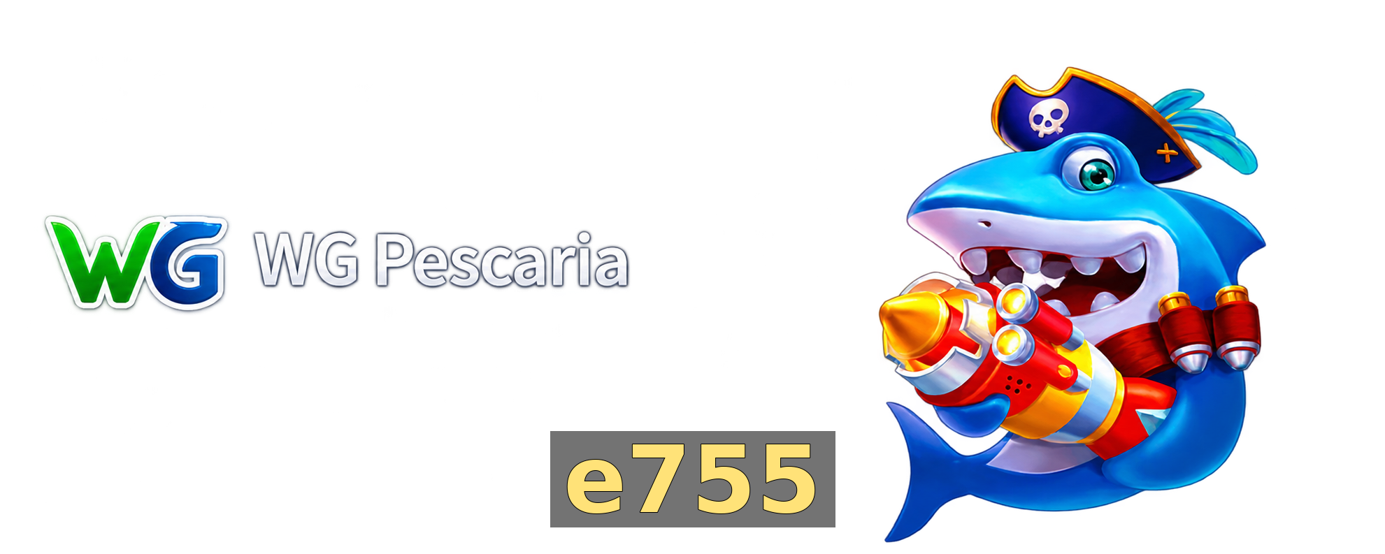 FAQ e755 Brasil